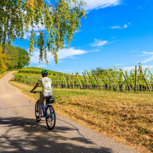 Alsace - La Route des Vins - Tracé GPX